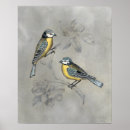 Search for aviary posters Perched