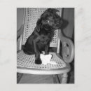 Search for cute baby angel postcards Angels