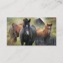 Recherche de beau cheval cartes visite Chevaux