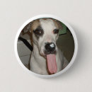 Recherche de chien de taureau badges Puits