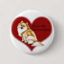Search for pomeranian buttons Pet