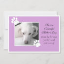 Search for purple paws cards For her
