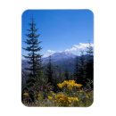 Recherche de hélène magnets Montagne