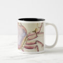 Search for white shell mugs Fish