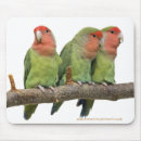 Search for tweet electronics Cute