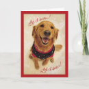 Search for golden retriever in snow cards Snowflakes