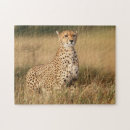 Search for danita delimont puzzles Horizontal