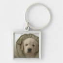 Search for animal body part keychains Indoors