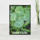 Search for four leaf clover cards Good luck