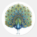 Search for peacock stickers Decorative