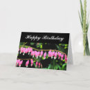 Search for bleeding cards Pink
