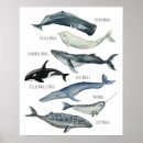 Search for fishing kids posters Ocean