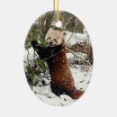 Search for red panda ornaments Fire fox