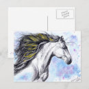 Search for equines postcards Animals