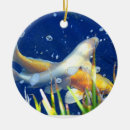 Search for carp ornaments Nishikigoi