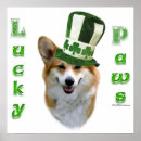 Search for corgi posters Pembroke welsh corgi