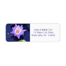 Search for water lilies return address labels Flowers