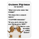 Search for guinea pig quotes Cavy