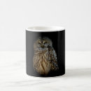 Search for sleepy owl mugs Bird