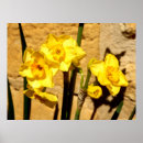 Search for beautiful easter posters Flower