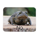 Recherche de humour de grenouille magnets Rog