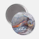 Search for turtle magnets Honu