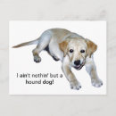 Recherche de labrador jaune cartes postales Dog