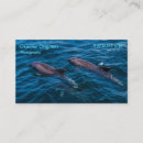 Recherche de dauphins cartes visite Océan