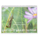 Search for chipmunk calendars Deer