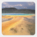 Search for nas stickers Scenic