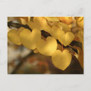 Search for chains postcards Yellow