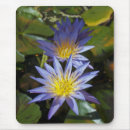 Search for water mousepads Pond