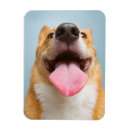 Recherche de très drôle magnets Animaux