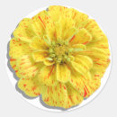 Search for zinnias stickers Yellow
