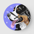 Search for mountain clocks Pets