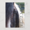 Recherche de gypse cartes postales Cheval