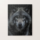 Search for wild wolf puzzles Woods