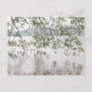 Search for spring rain postcards Water