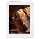 Search for antelope cards Sandstone