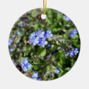Search for forget me not ornaments Floral