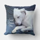 Recherche de faire une sieste coussins Chien