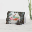 Search for branch christmas cards Baubles