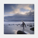 Search for olympic national park magnets Ocean