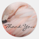 Search for grace stickers Thank you