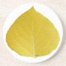 Recherche de colorado coasters Chute