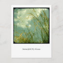 Recherche de de fines herbes Bleu