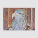 Search for eagle tissue paper Birds