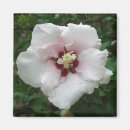 Recherche de goutte de pluie magnets Fleur