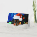 Search for cavalier king spaniel cards Tan