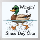 Search for duck posters Cartoon